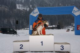 Lenk 2012 SM